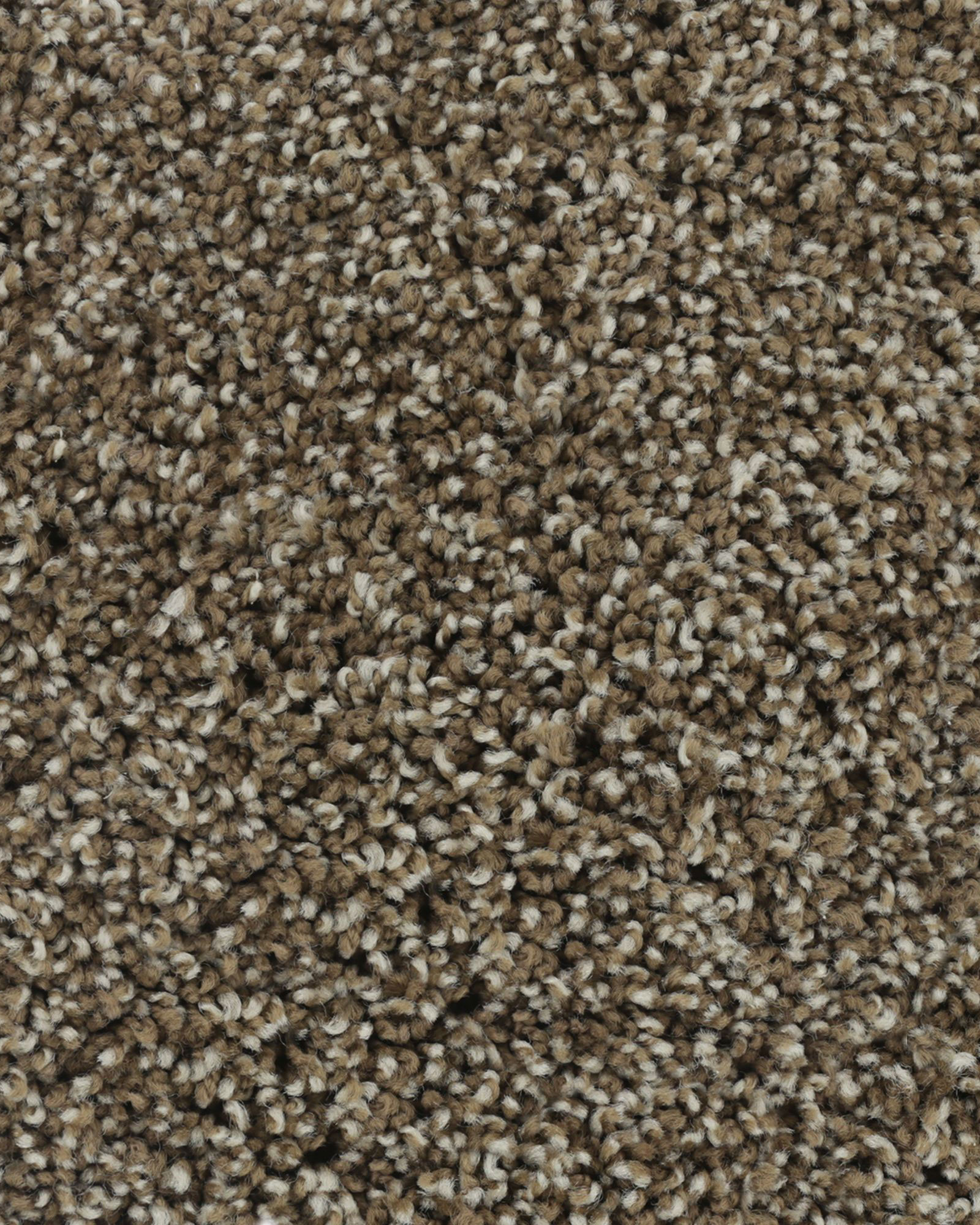 Karastan K8933 Posh Beauty Lush Suese Carpet Exchange