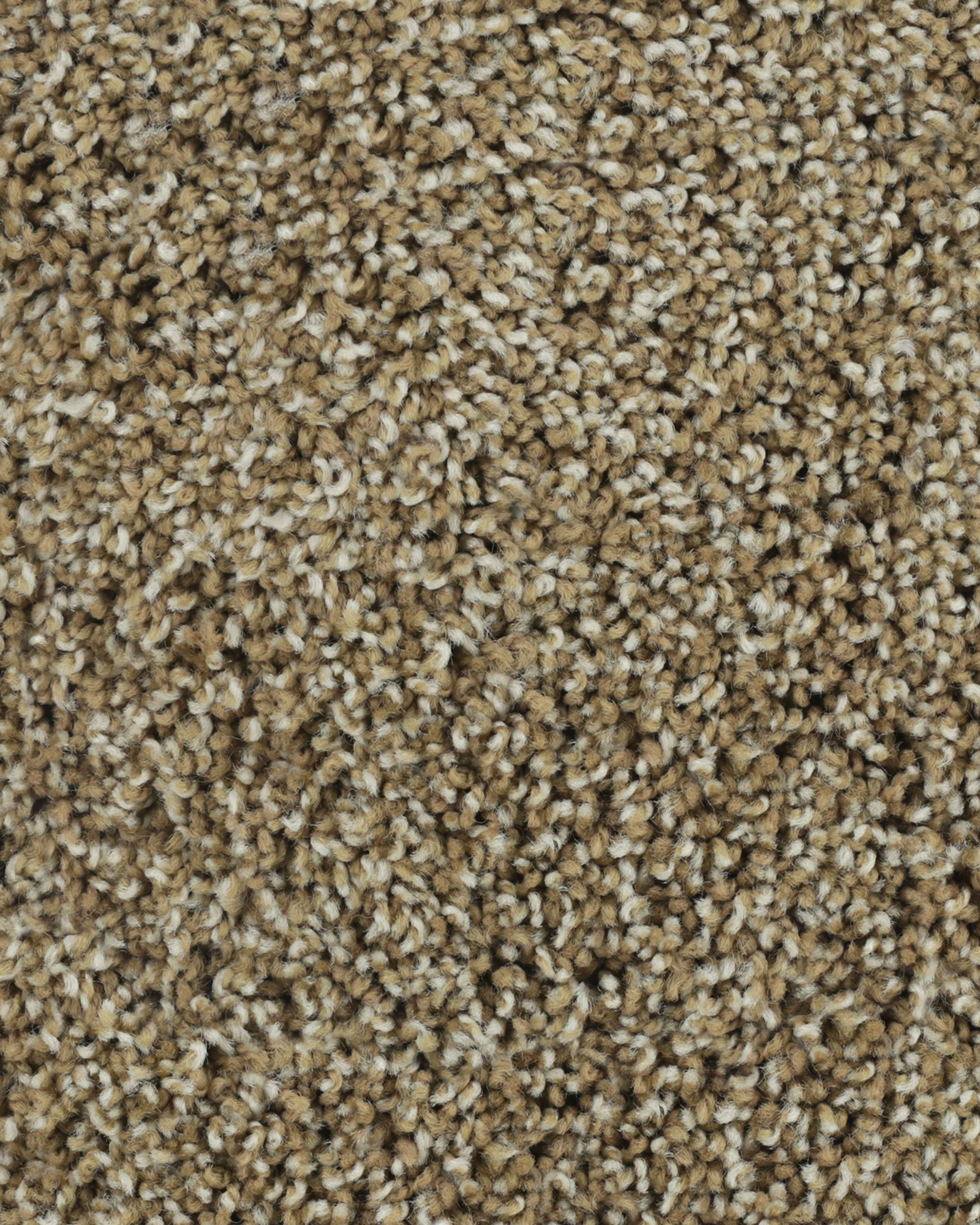 Karastan K8933 Posh Beauty Rattan Carpet Exchange