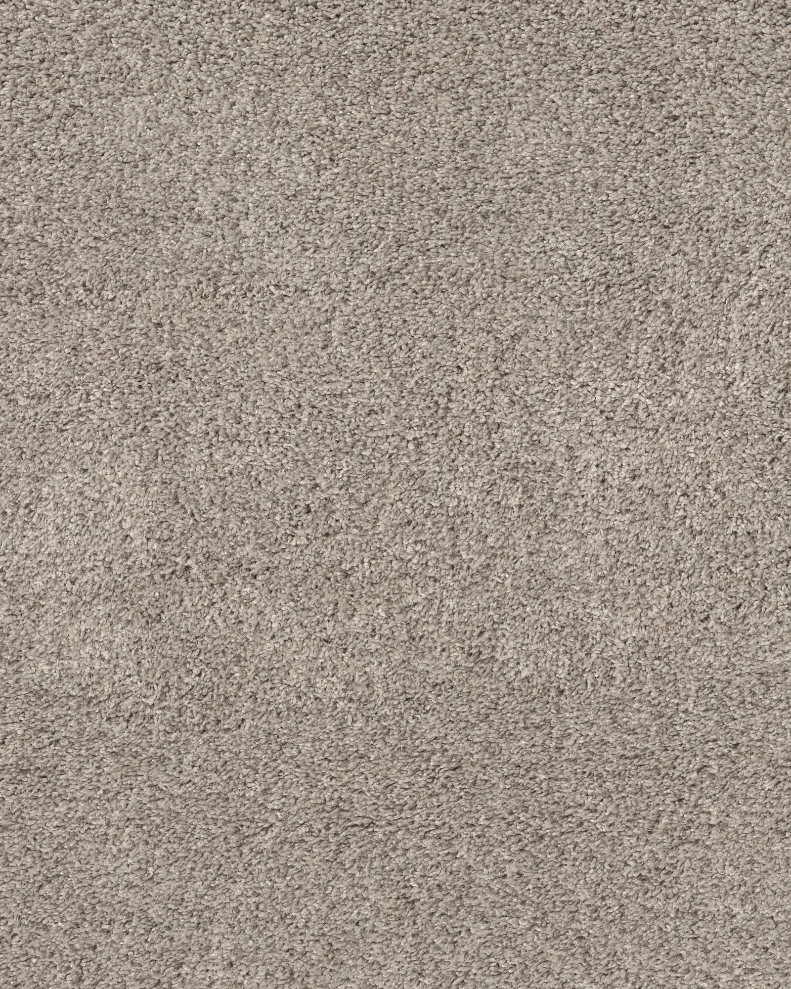 Shaw 5E280 Quiet Sanctuary Kidskin Carpet Exchange