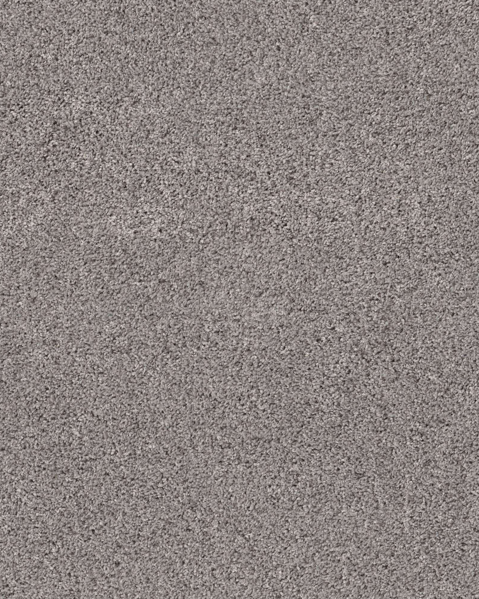 Shaw 5E280 Quiet Sanctuary River Run Carpet Exchange