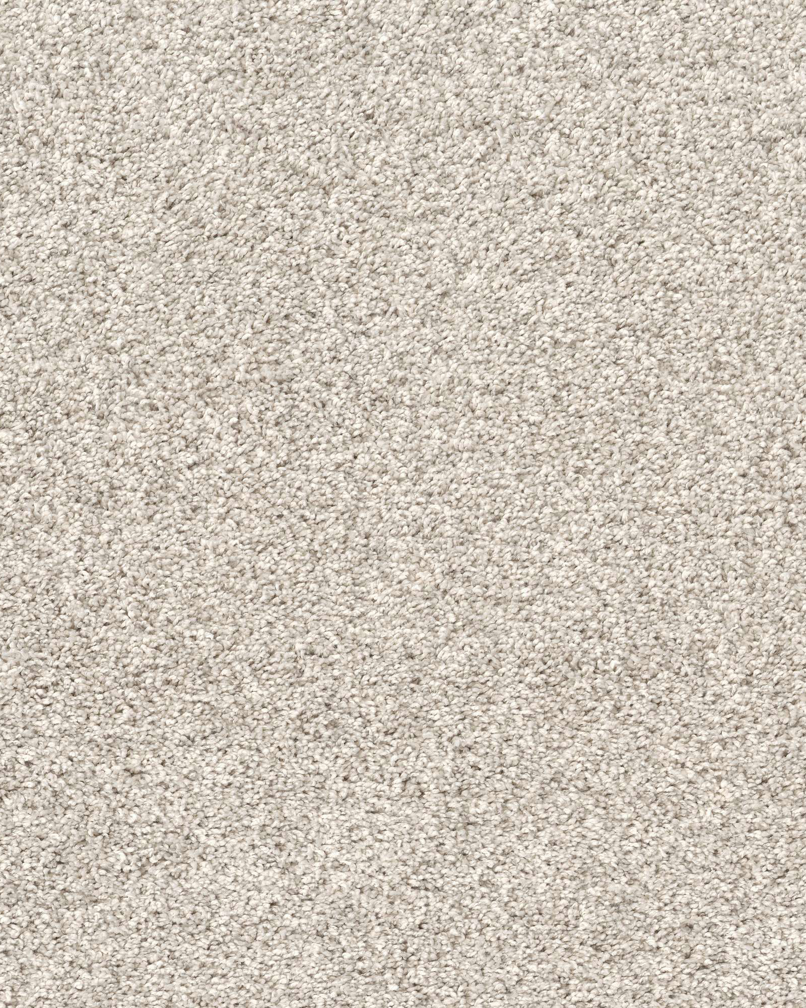 Shaw 5E280 Quiet Sanctuary Washed Linen Carpet Exchange