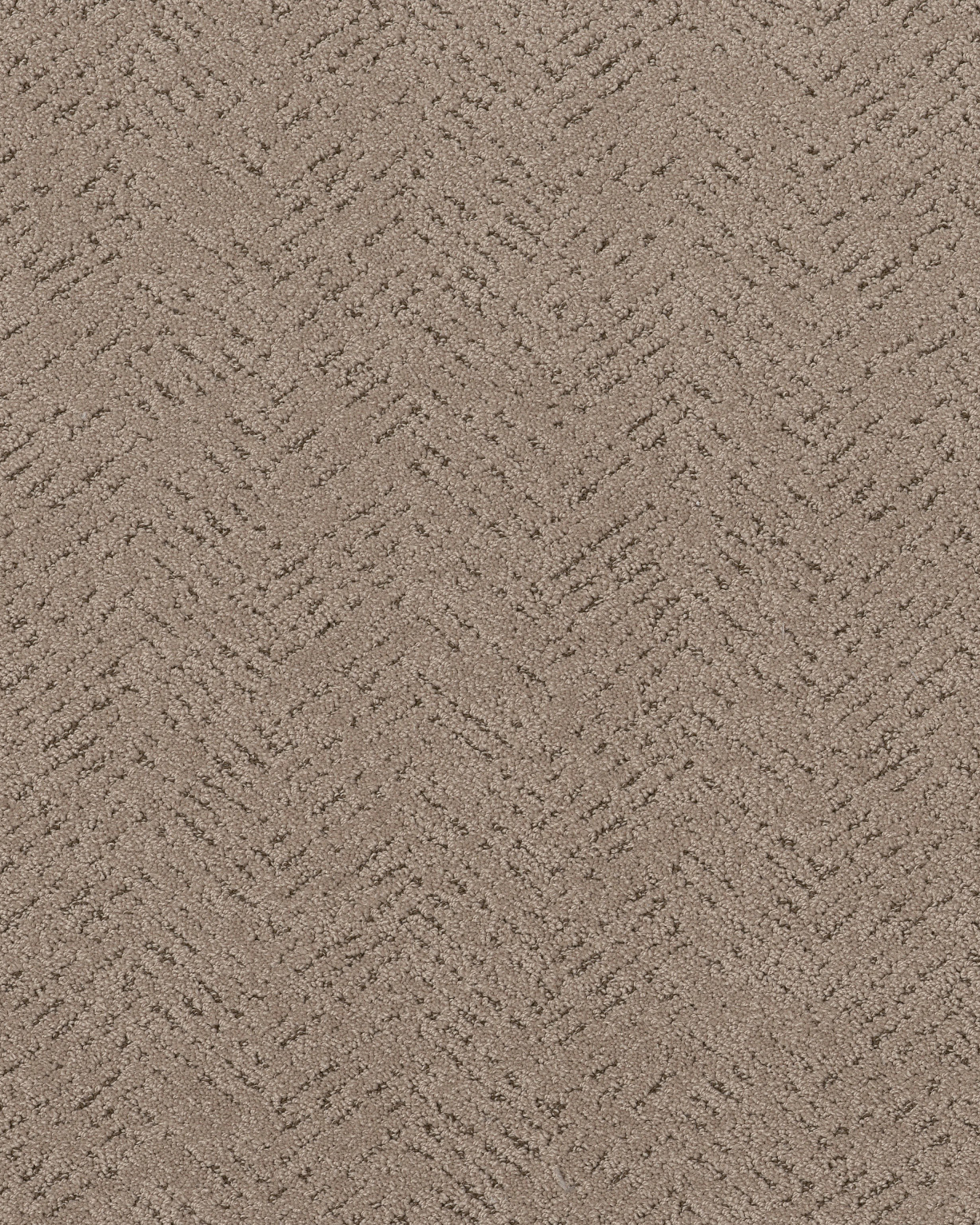 Shaw Pet Perfect Quiet Trail Cameo Carpet Exchange