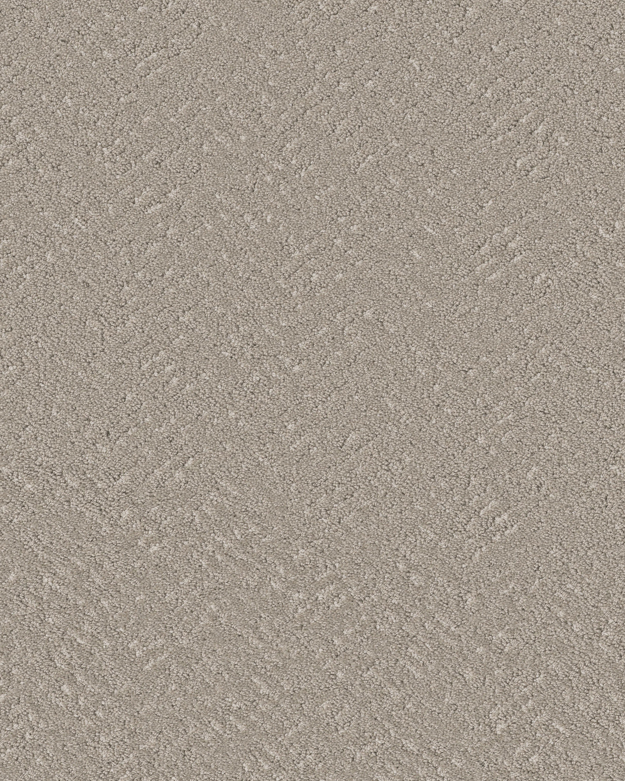 Shaw Pet Perfect Quiet Trail Sculpture Carpet Exchange