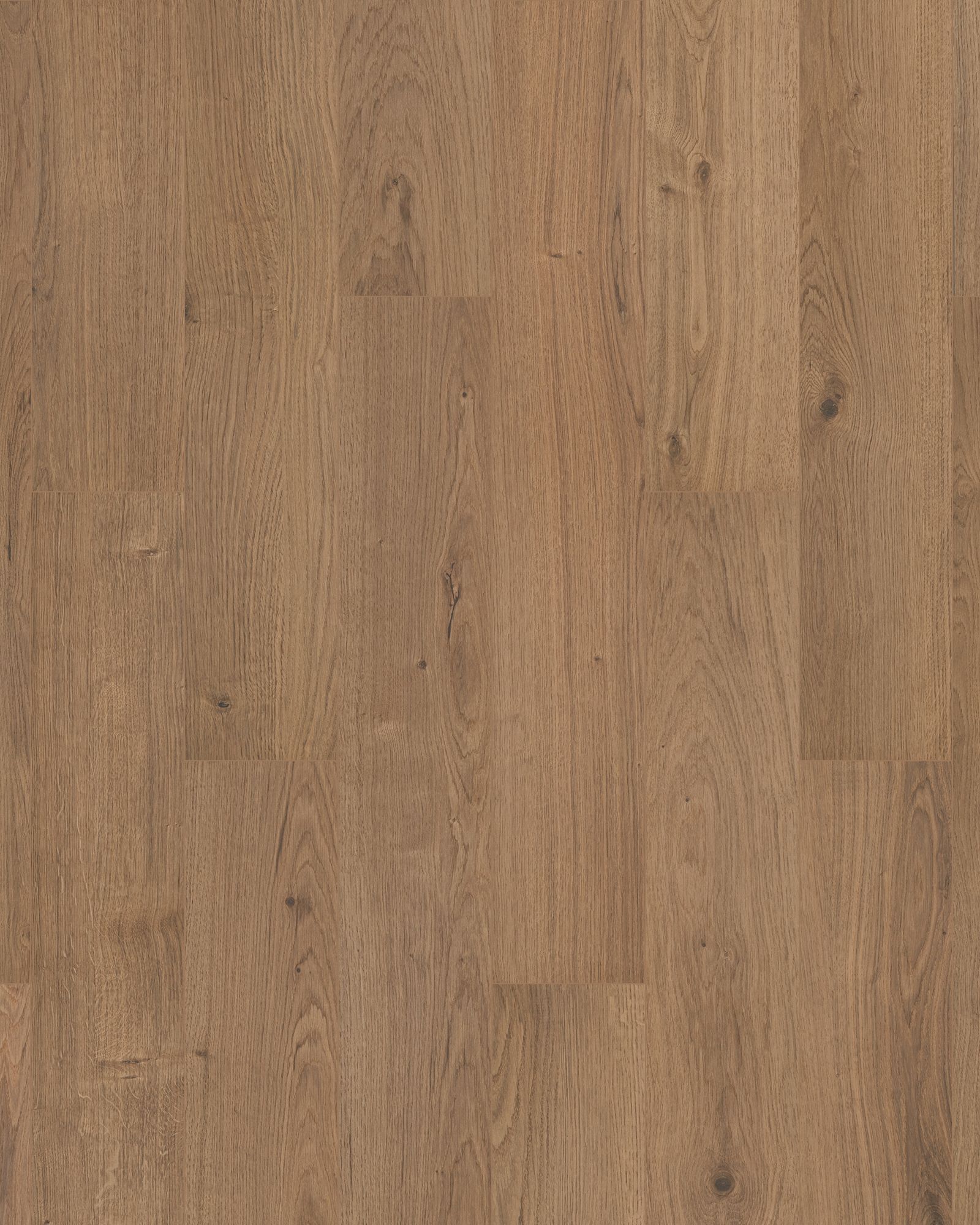 Mohawk Ashland Crest Fern Luxury Vinyl | Carpet Exchange