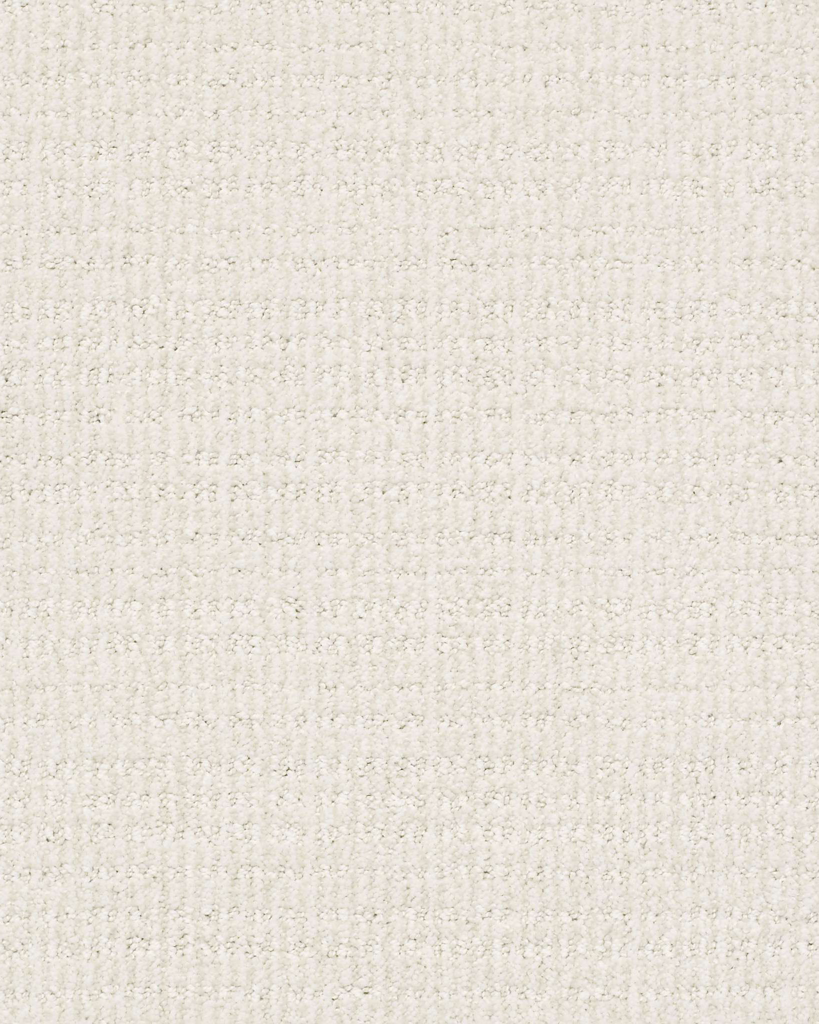 Shaw Sensible Now Crisp Linen Carpet Exchange