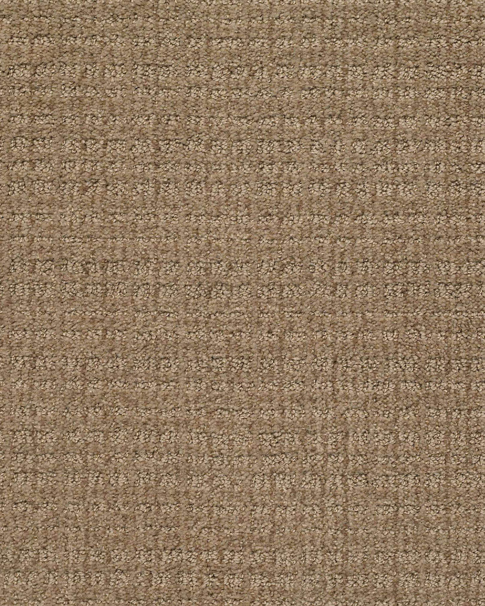 Shaw Sensible Now Summerville Carpet Exchange