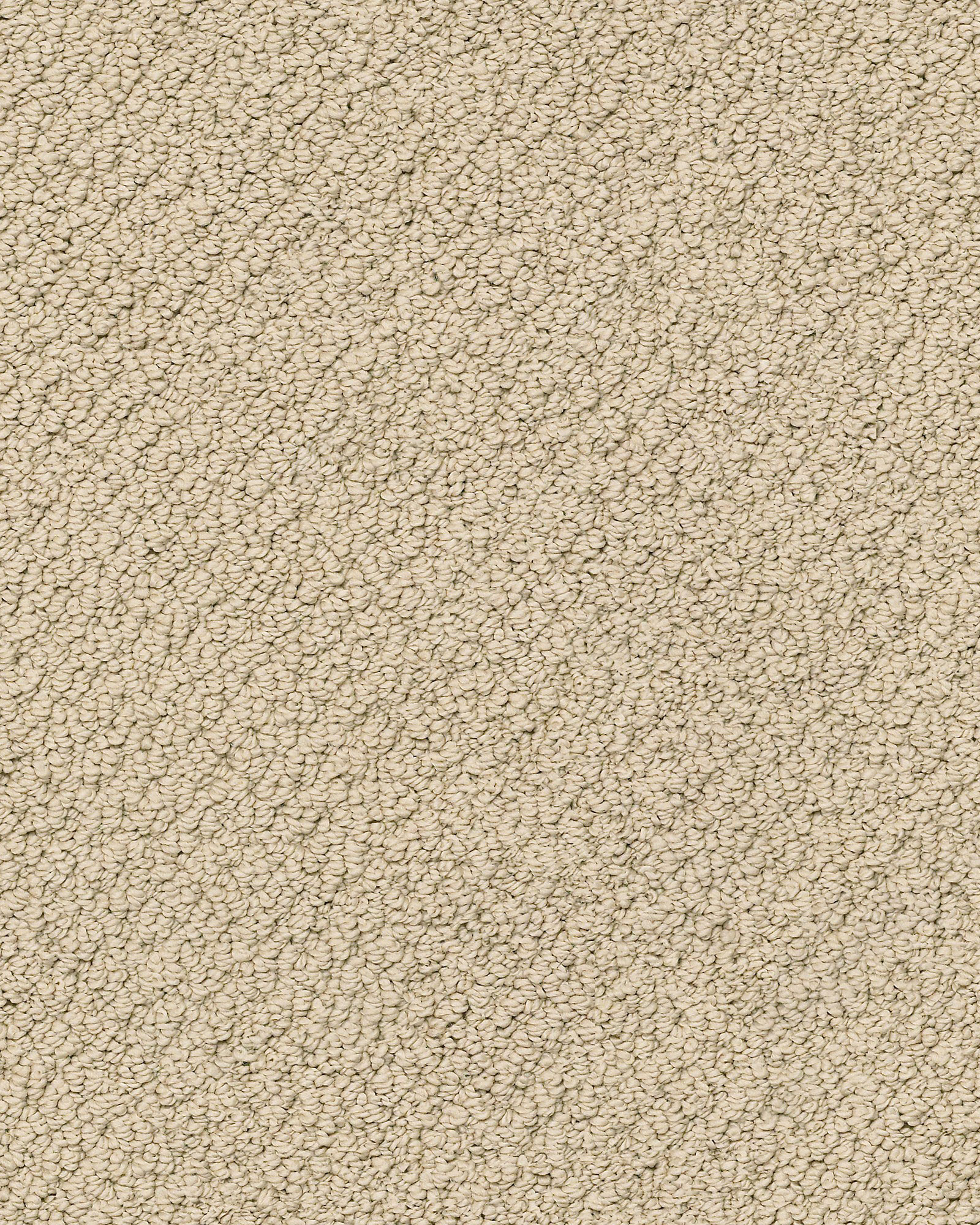 Shaw E9725 Smart Thinking Espresso Carpet Exchange