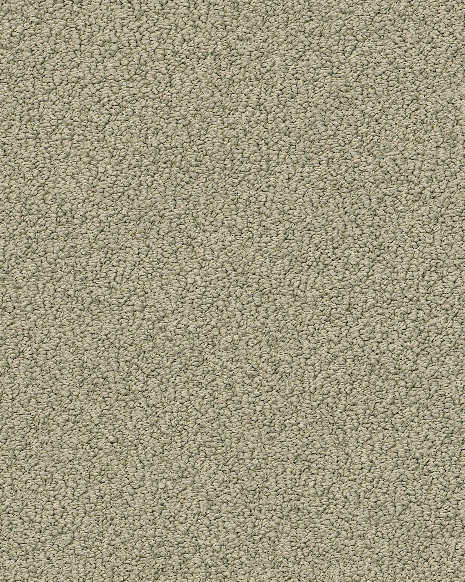 Shaw E9725 Smart Thinking Mocha Carpet Exchange