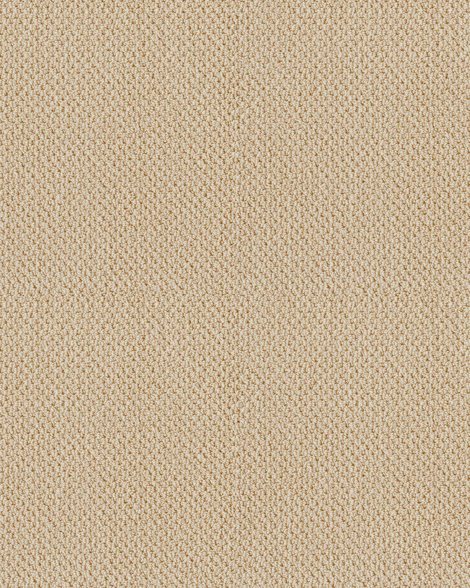 Shaw E9725 Smart Thinking Treasure Carpet Exchange