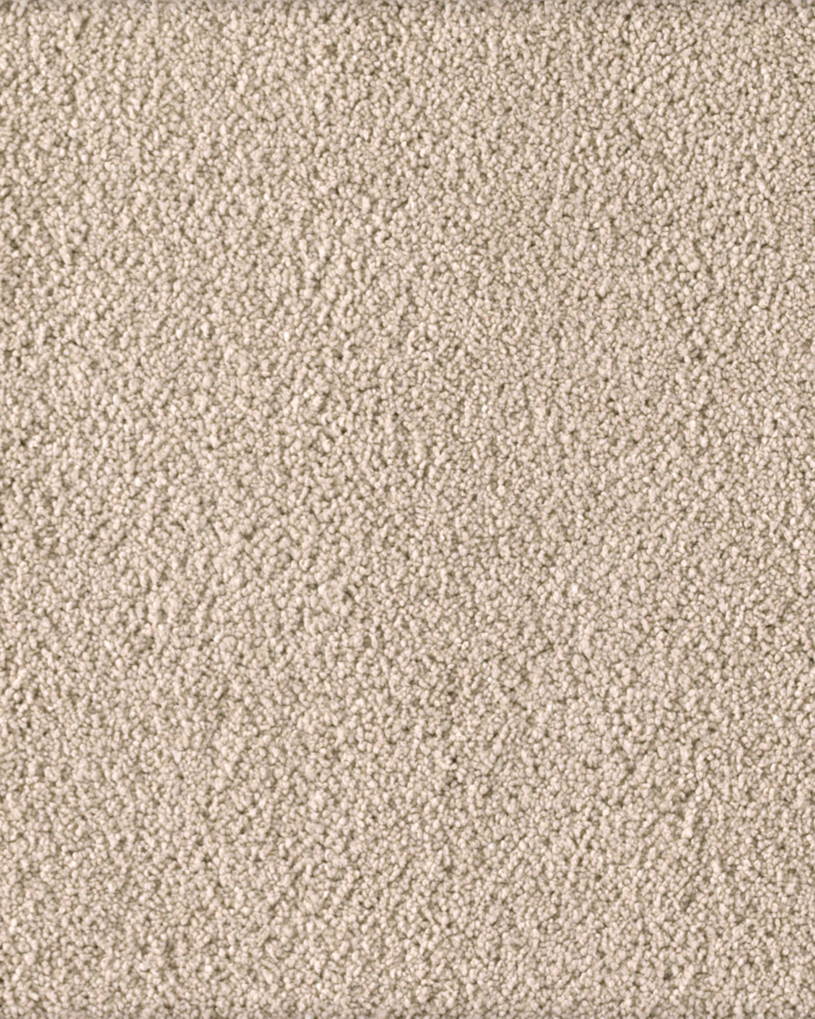 Karastan Soft Excellence First Choice Carpet Exchange