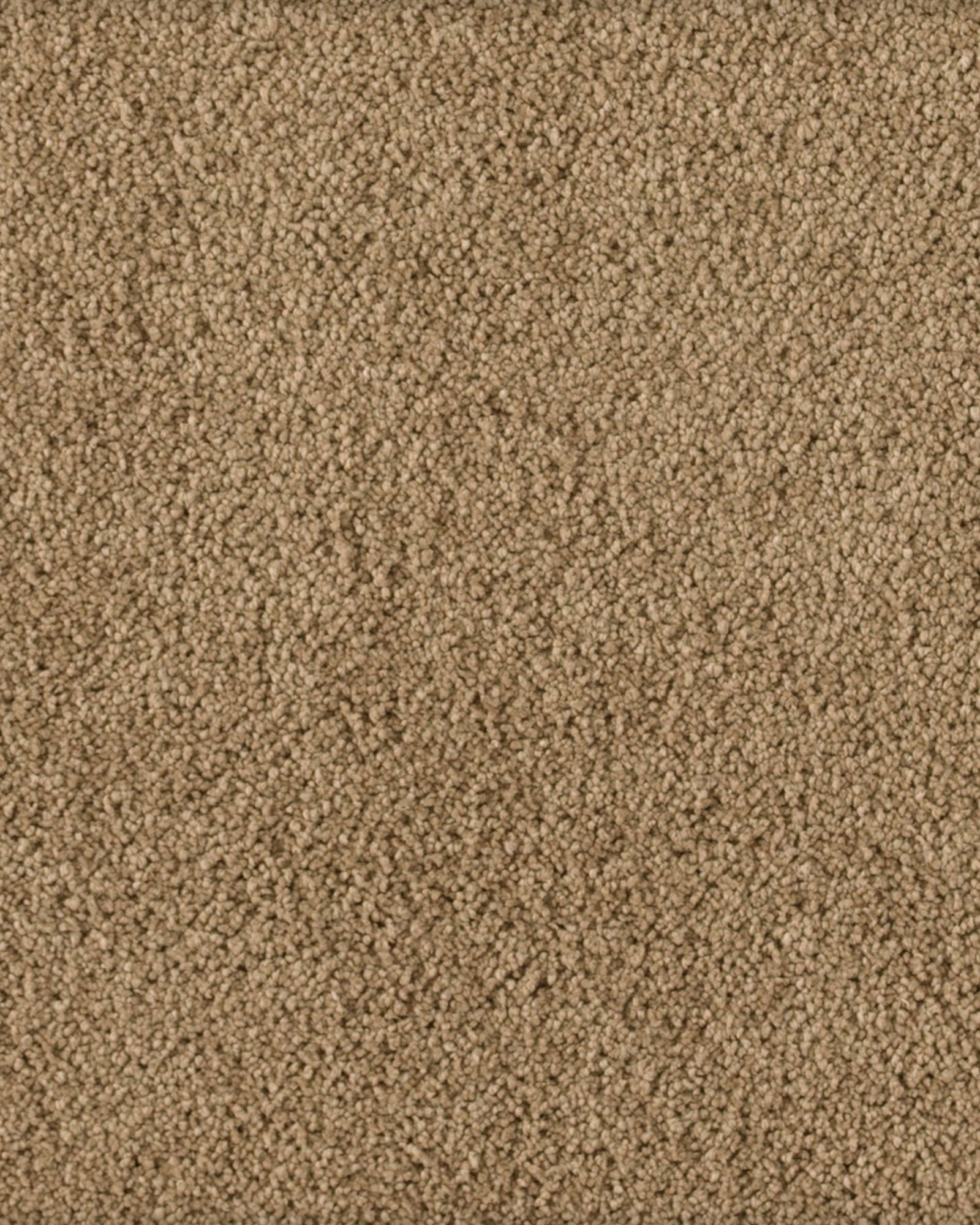Karastan K8903 Soft Excellence Flaxen Air Carpet Exchange