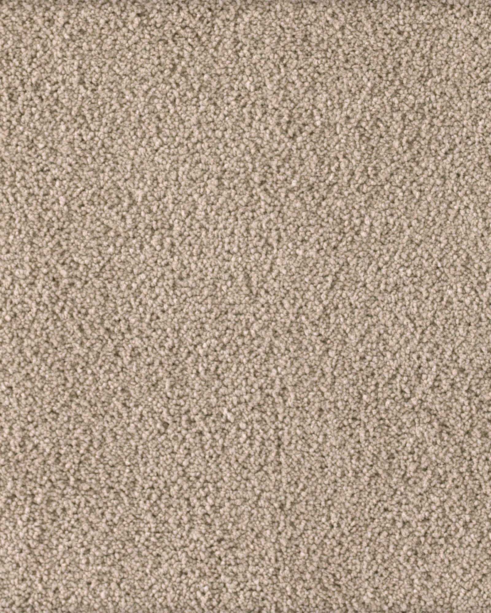 Karastan K8903 Soft Excellence Folklore Carpet Exchange