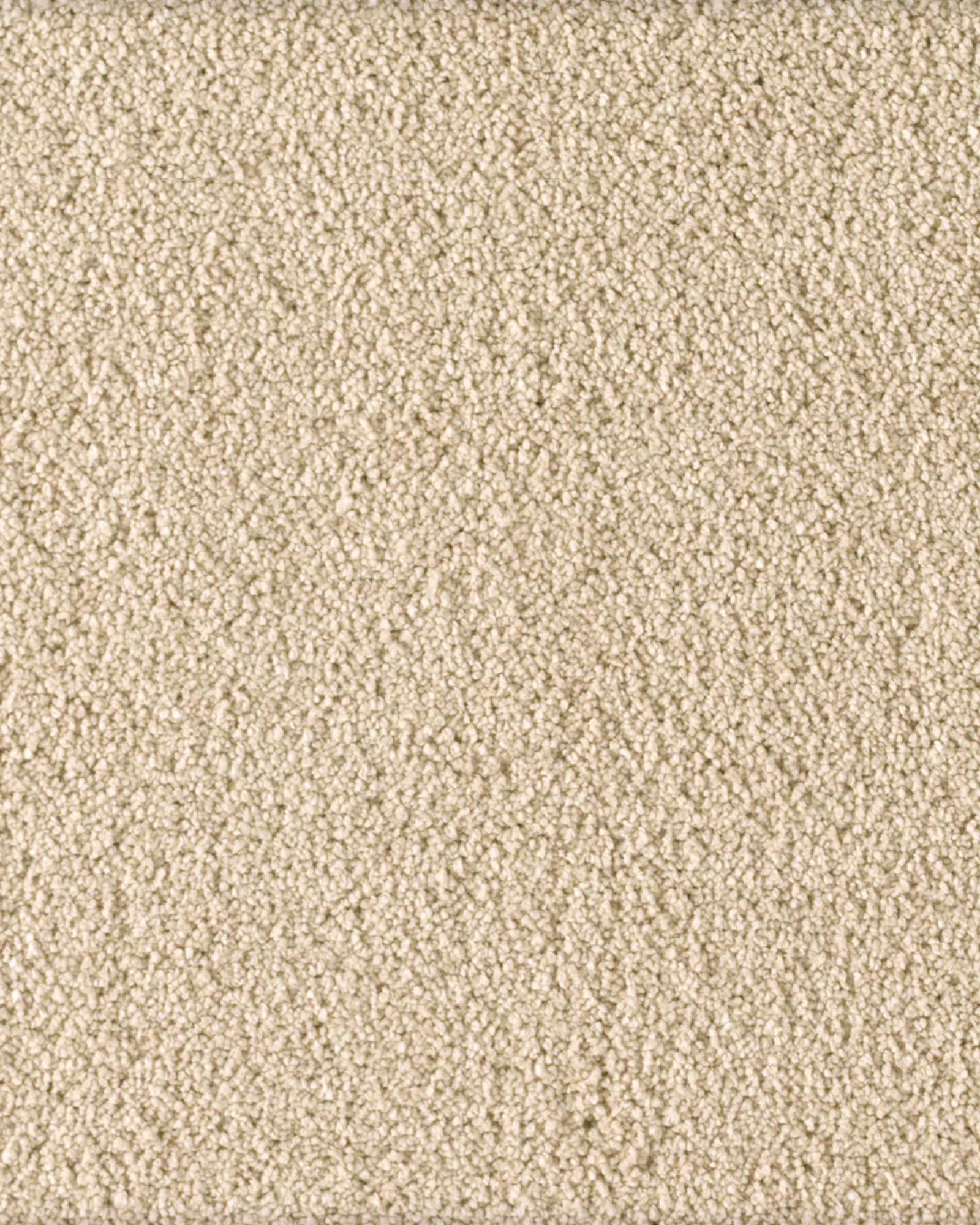 Karastan Soft Excellence Midsummer Light Carpet Exchange