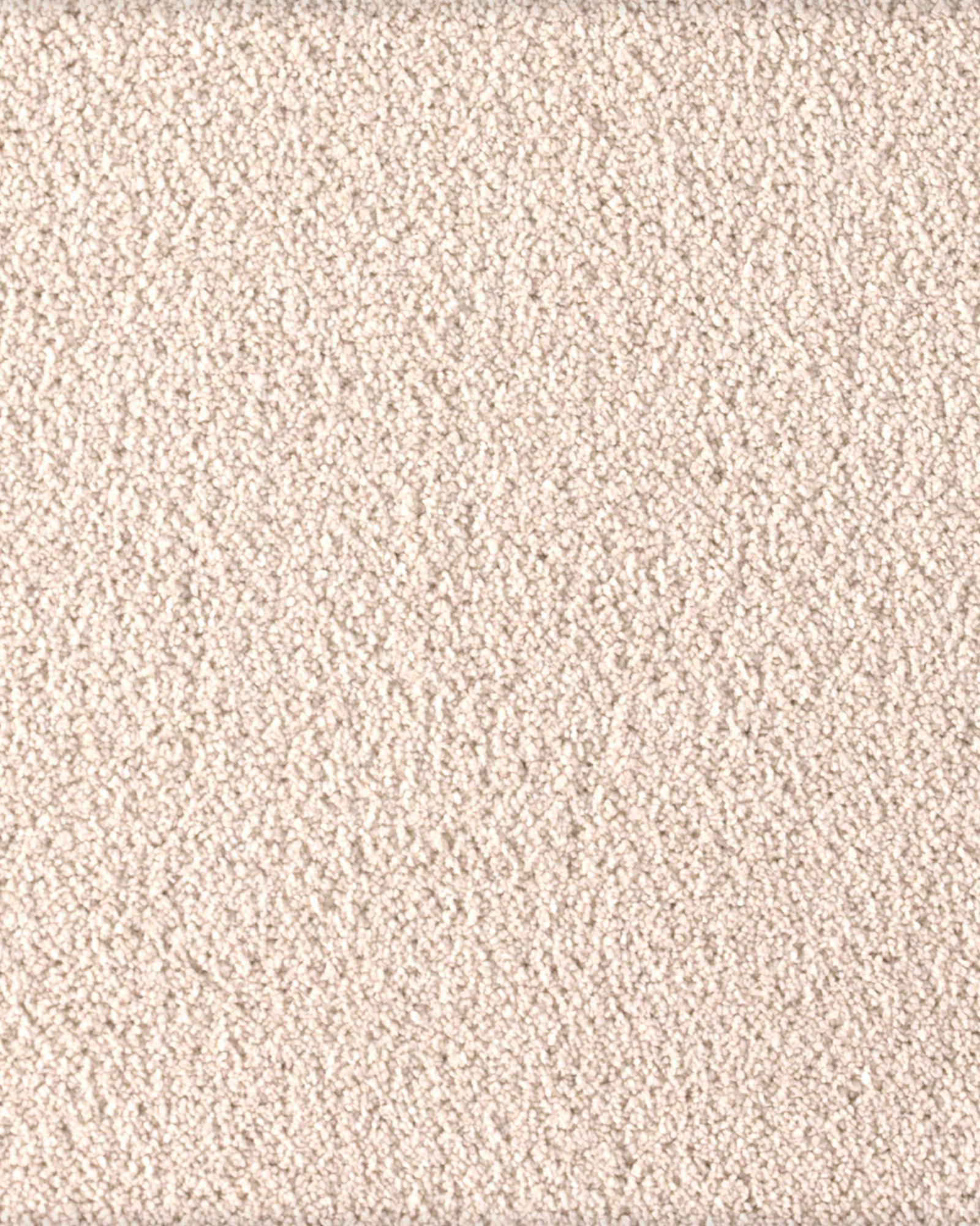 Karastan Soft Excellence Polished White Carpet Exchange