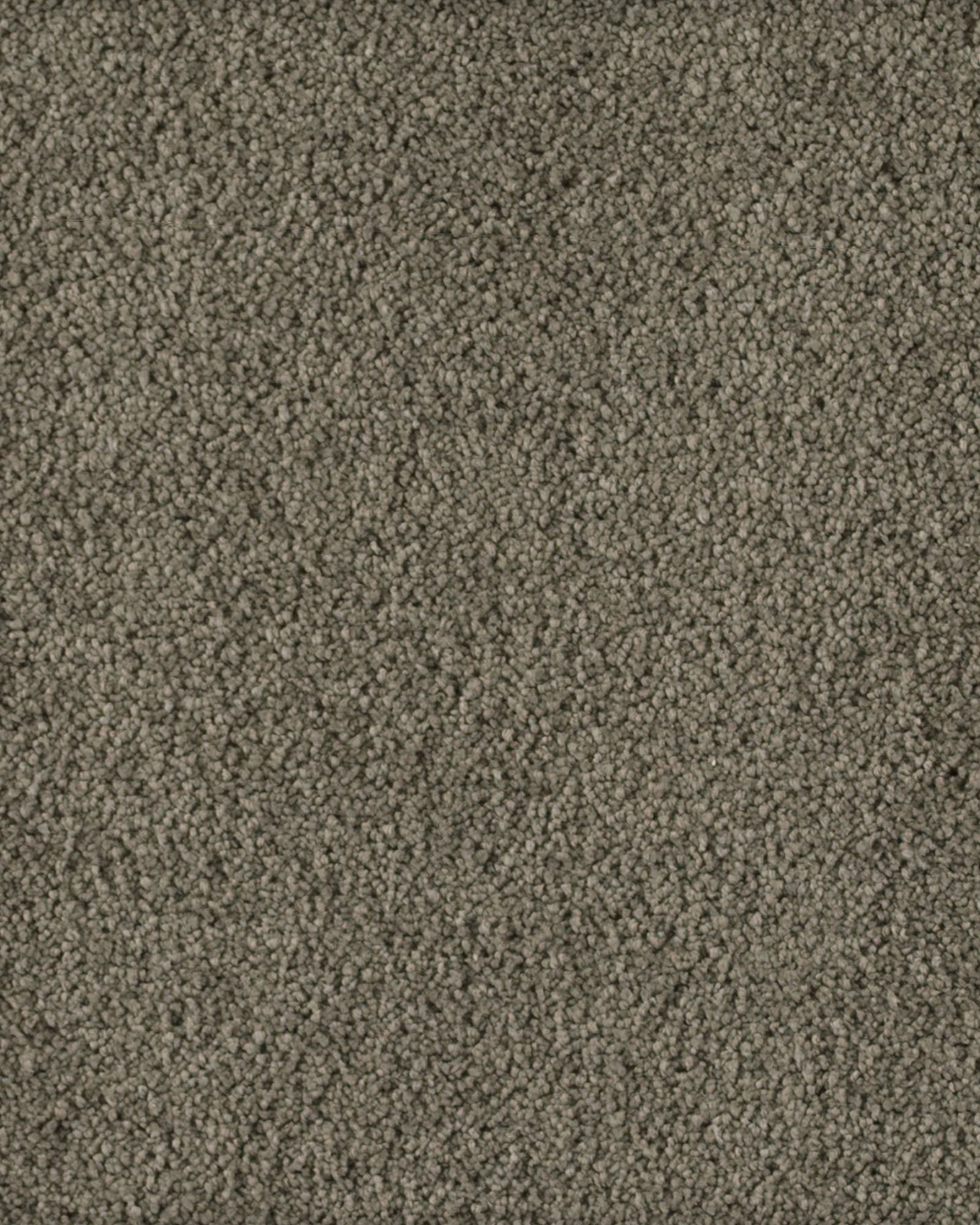 Karastan Soft Excellence Skyline Steel Carpet Exchange