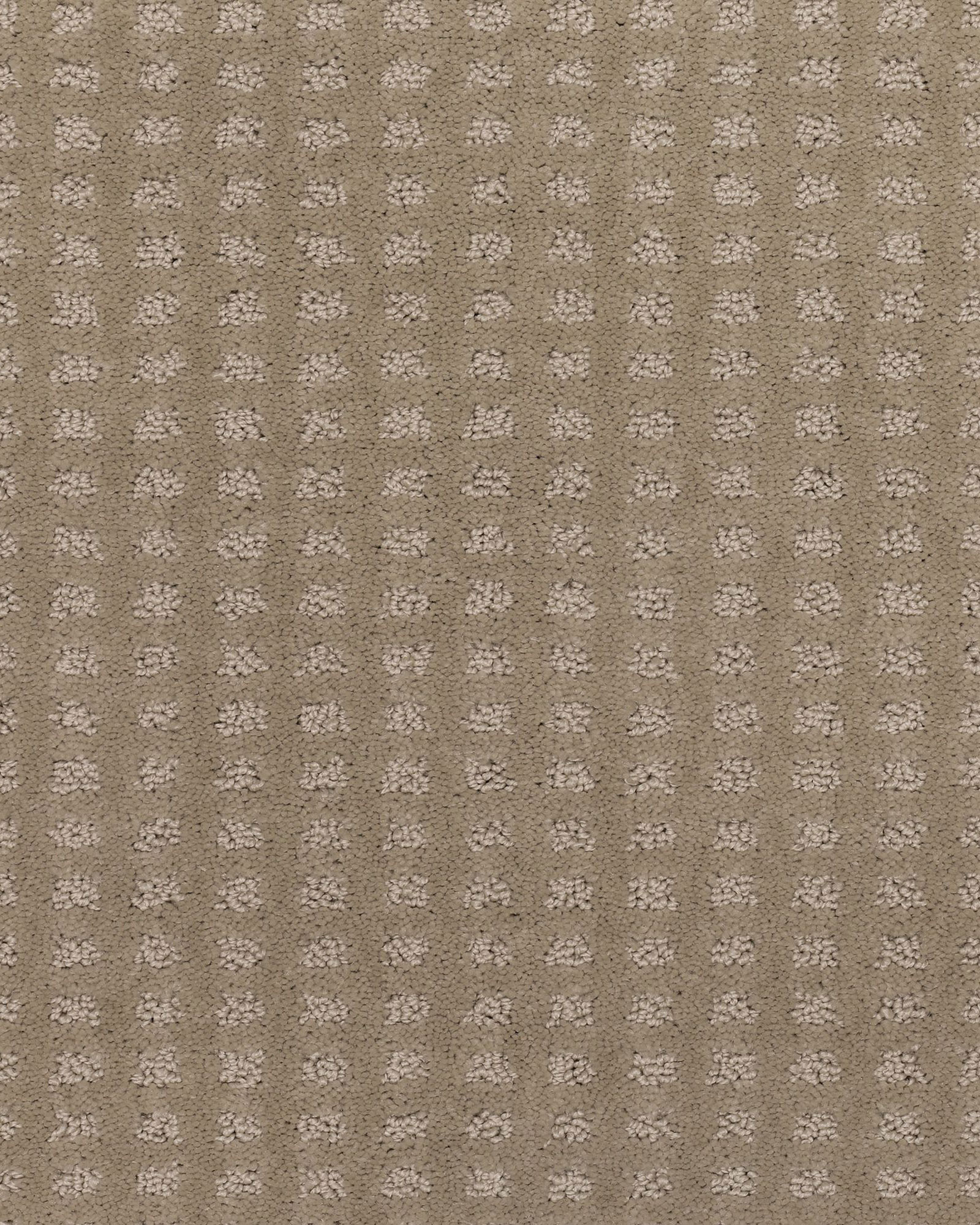 Mohawk Structural Charm Seashell | Carpet Exchange