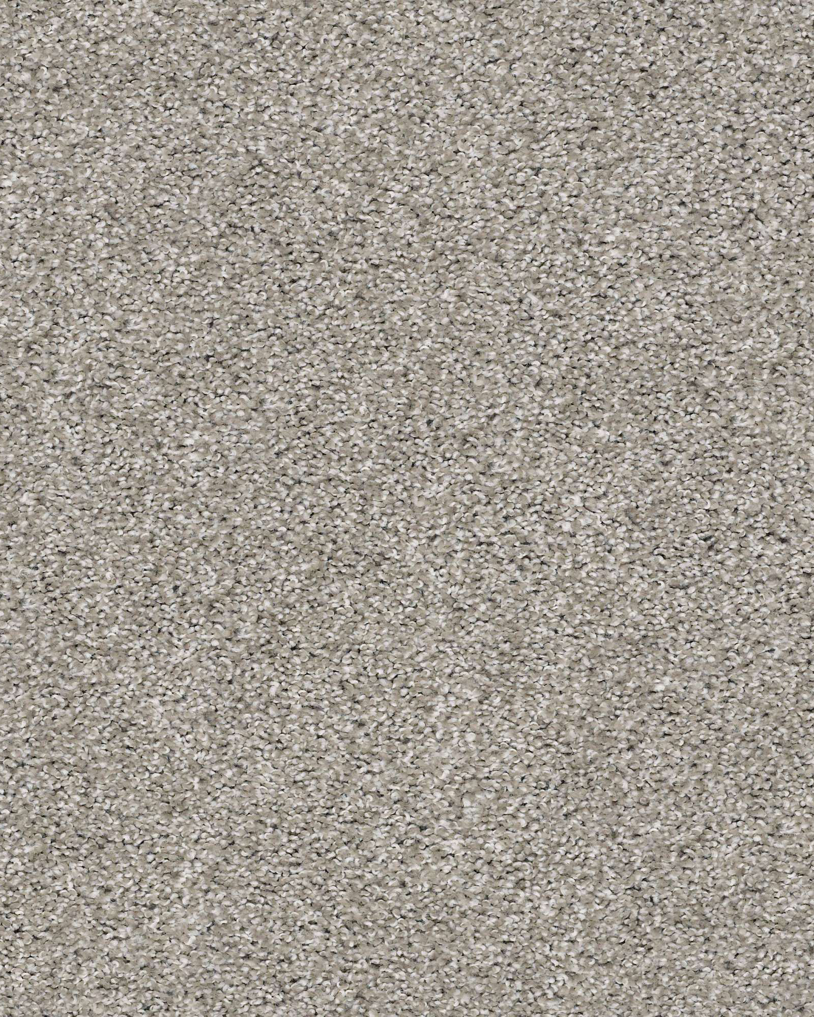 Shaw 5E289 Suave Trade Winds Carpet Exchange