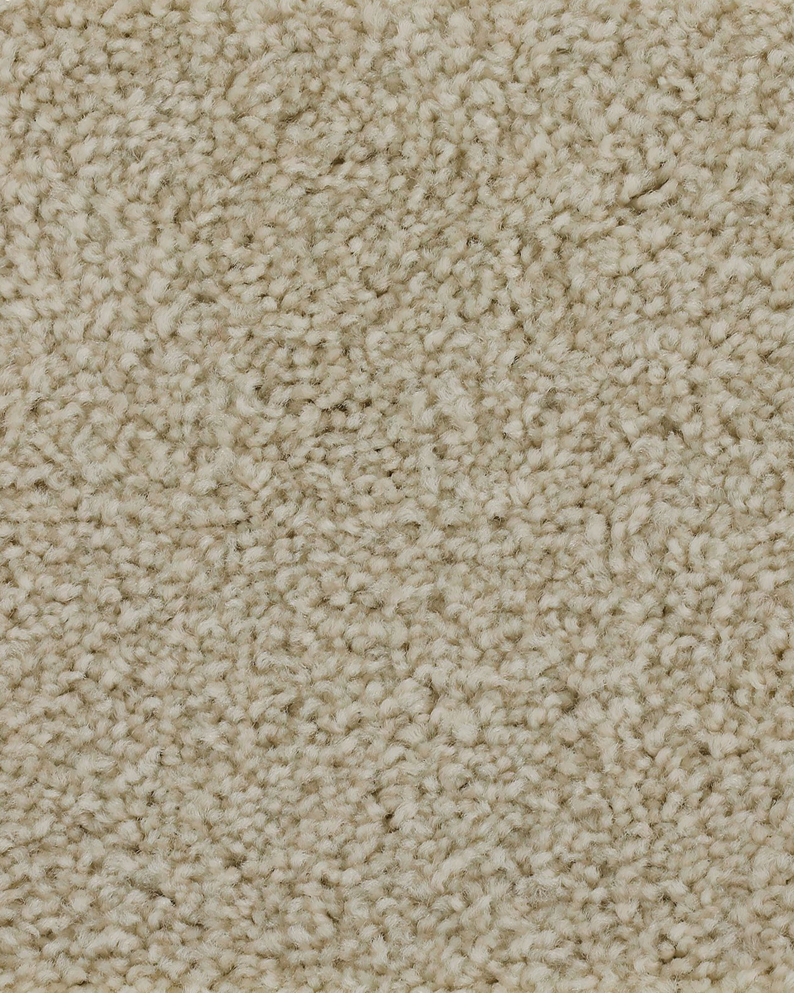 Mohawk Superior Selection Winter Wind Carpet Exchange