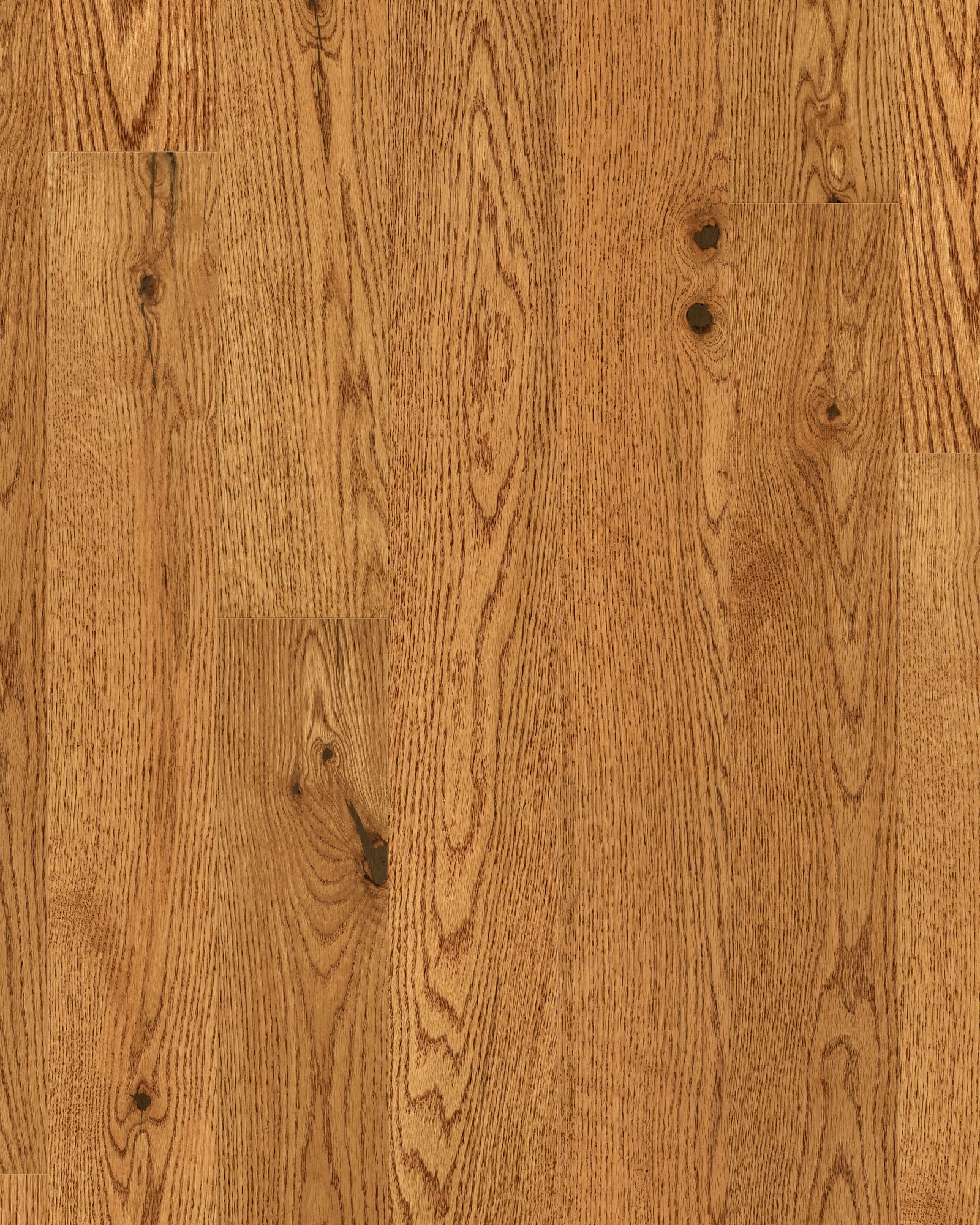 Shaw Lineage Red Oak 5