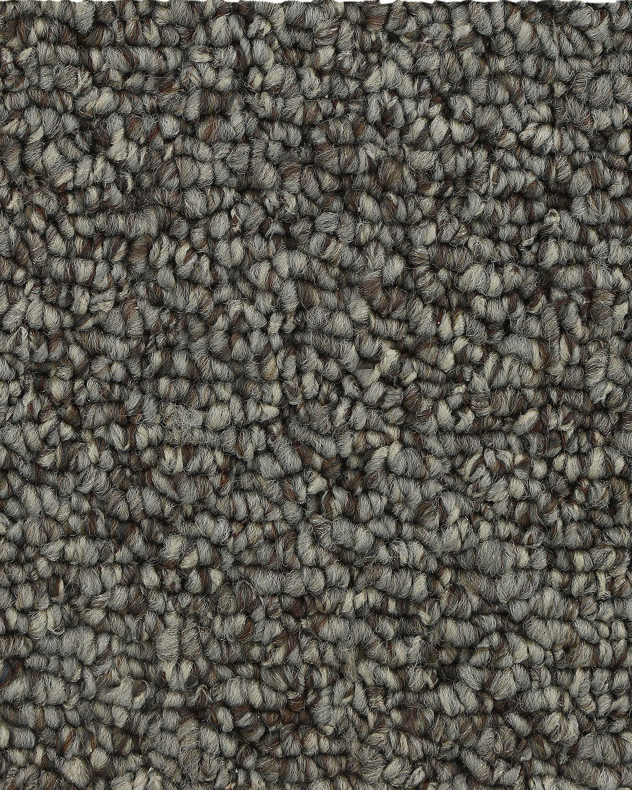 Mohawk 3D85 True Amazement Misty Morning Carpet Exchange