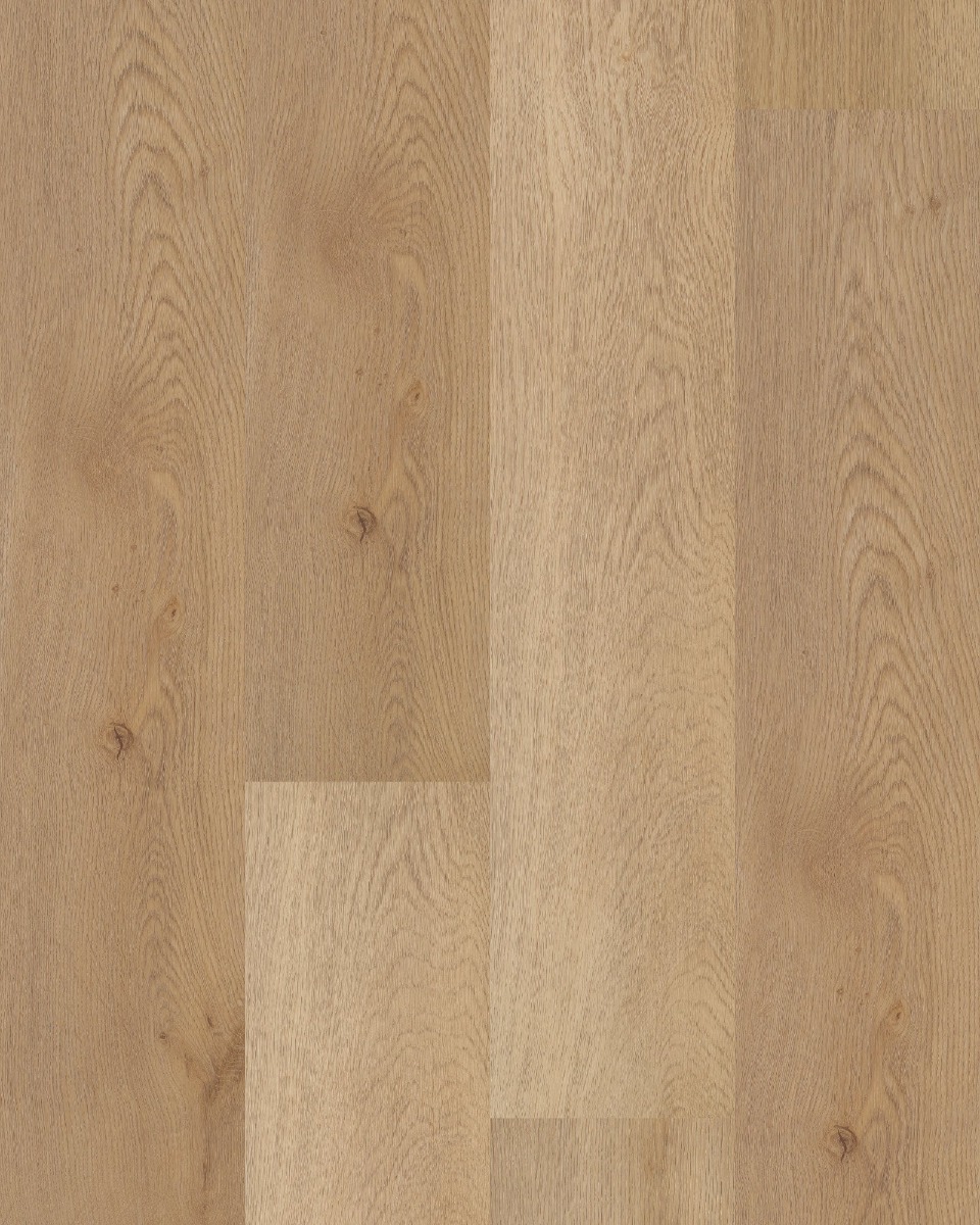 Shaw Anvil River Bend Oak - Luxury Vinyl | Carpet Exchange
