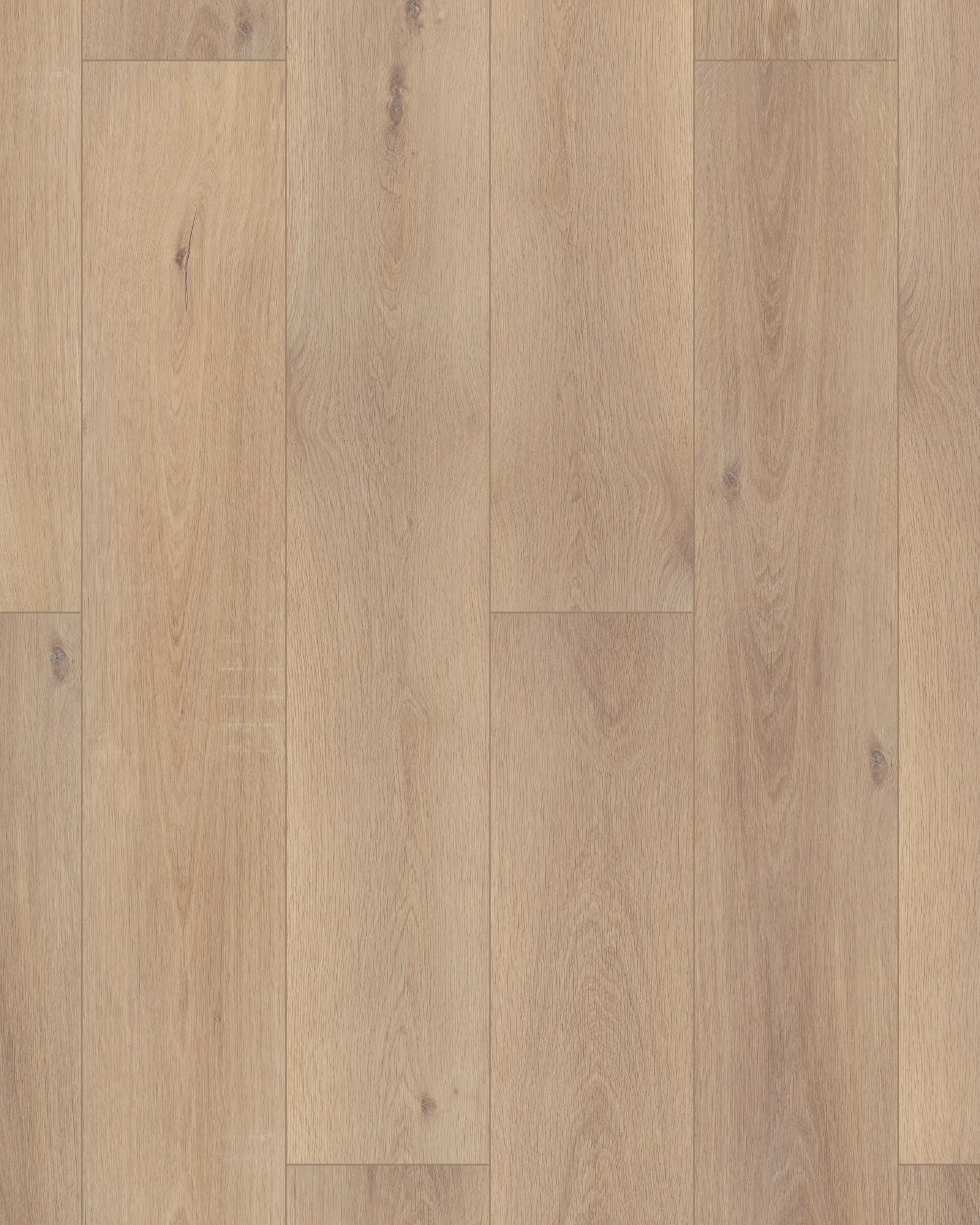 Coretec Pro Plus HD 9