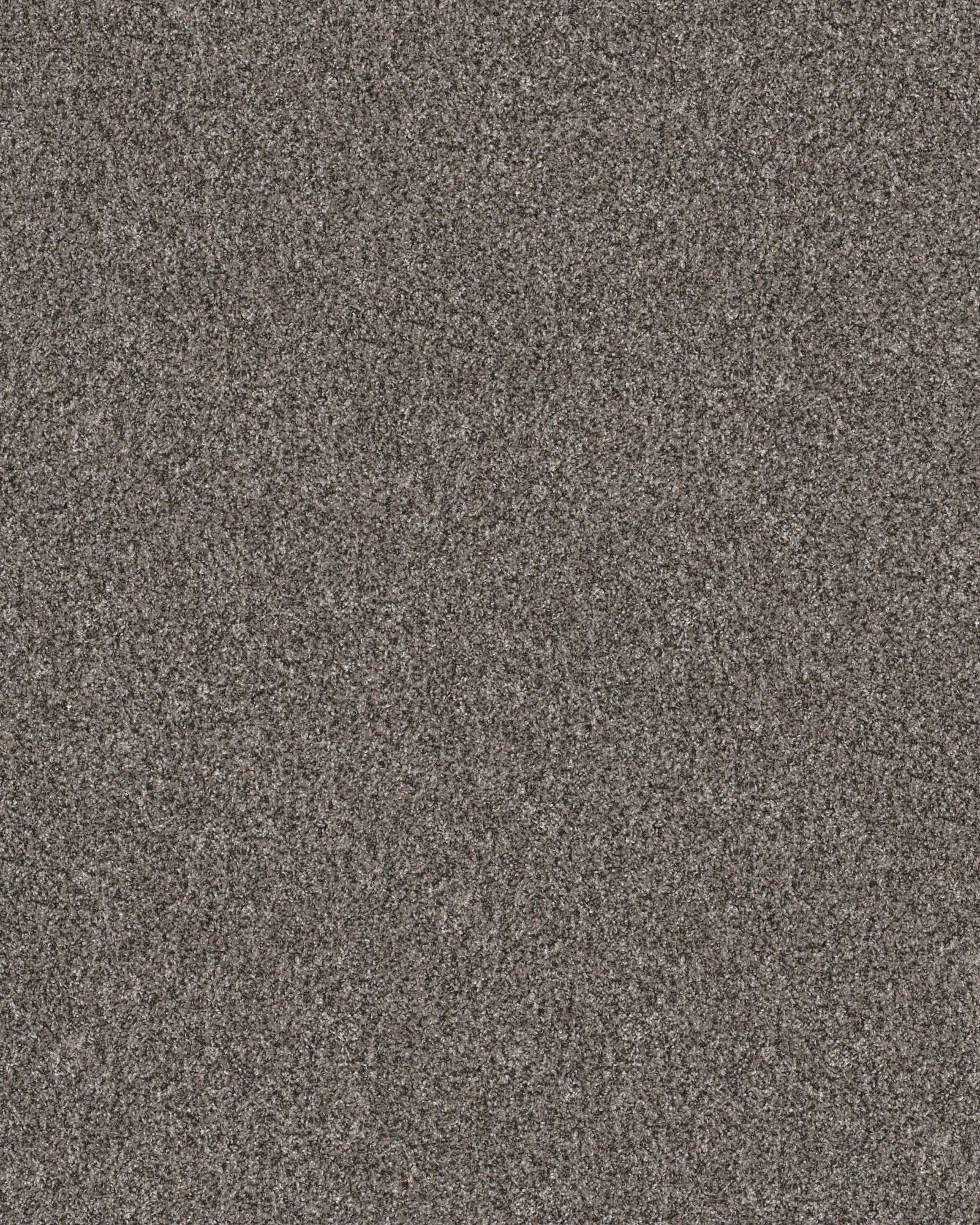 Shaw Confidence II Marble Pet Perfect Carpet Exchange