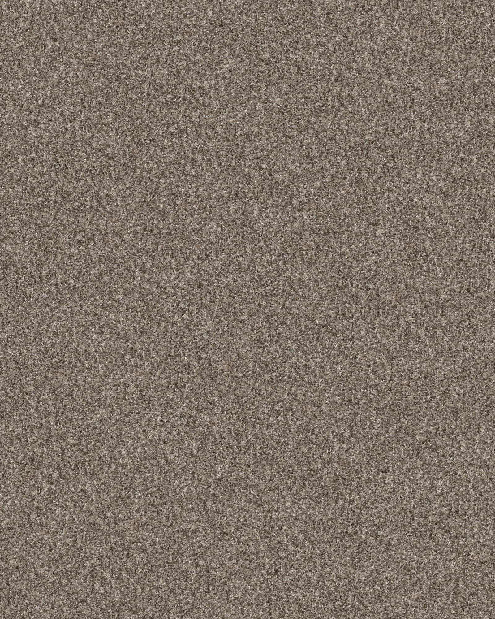 Shaw Confidence I Soft Sense Carpet Exchange