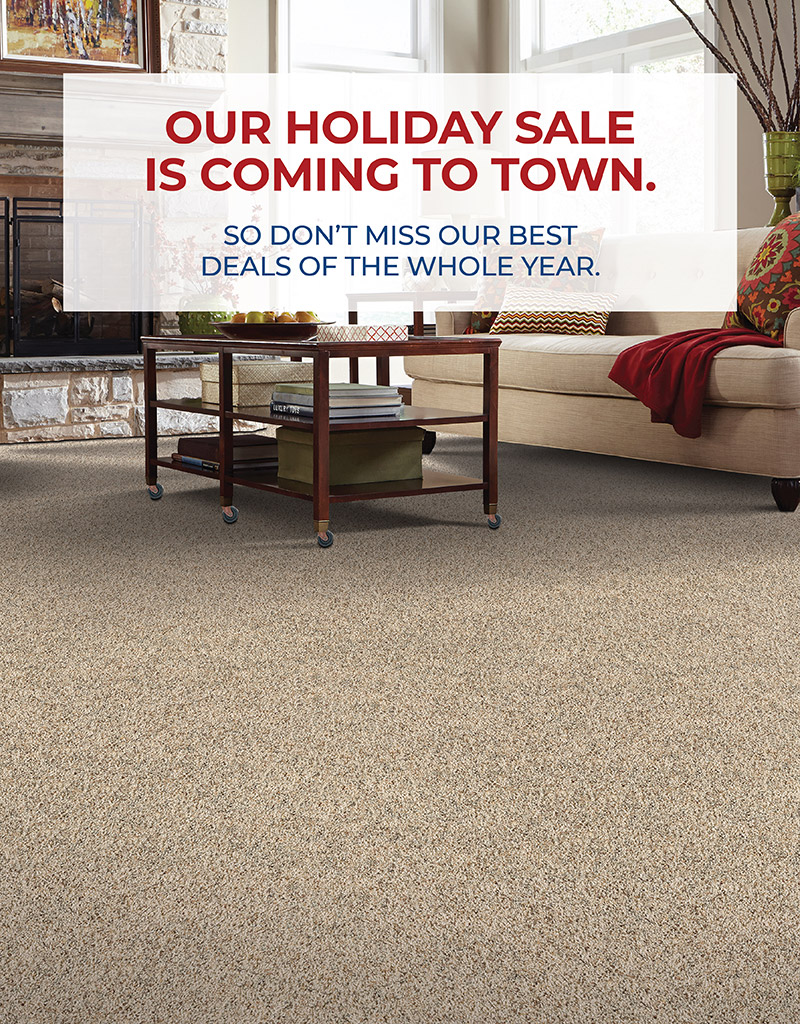 OUR HOLIDAY SALE IS COMING TO TOWN.