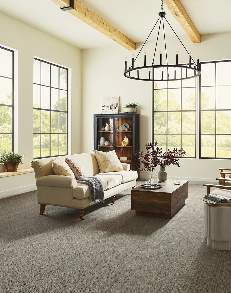 Gray Pet Friendly Living Room Carpet