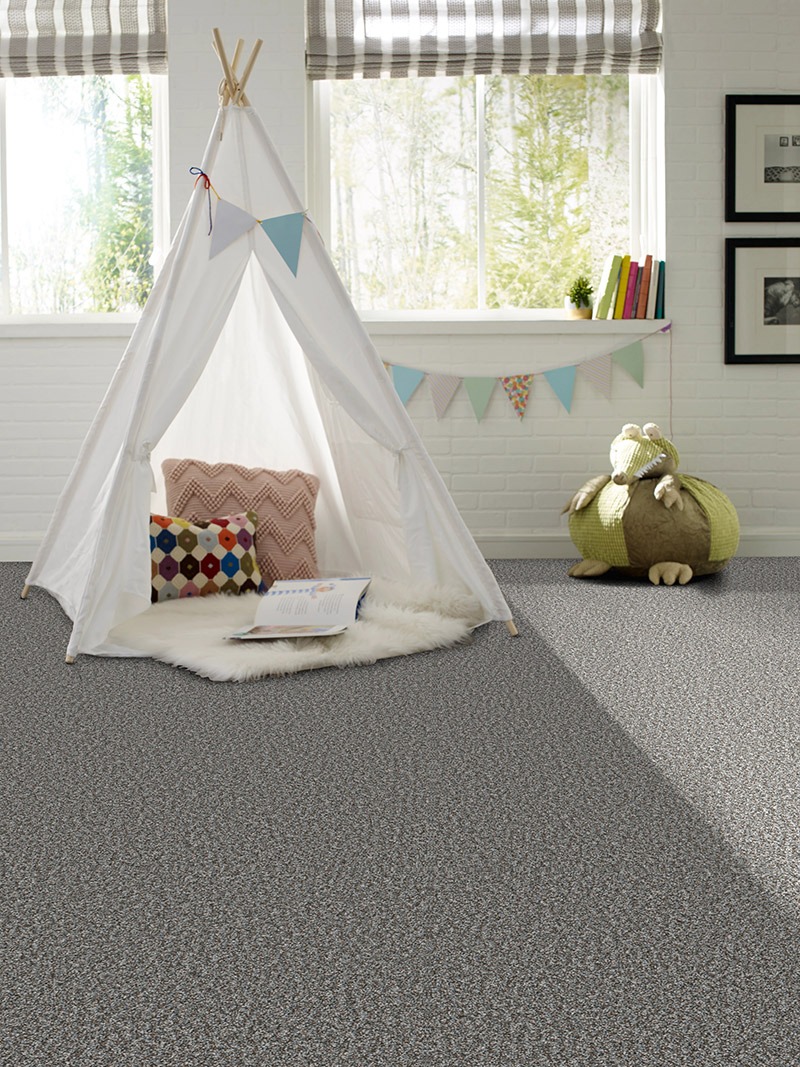 Textured Pet Friendly Kid Friendly Carpet