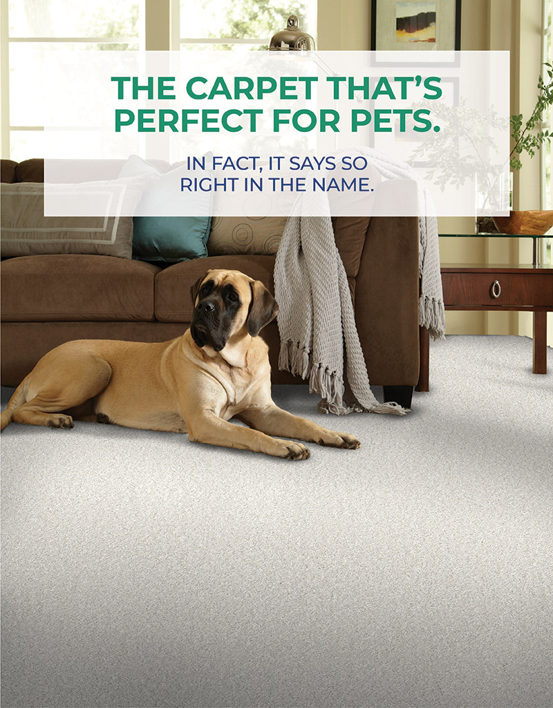 THE CARPET THAT’S PERFECT FOR PETS.