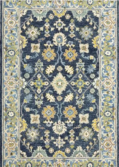 Alfresco 28405 Navy/Blue Area Rug