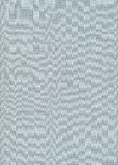 Cottages Bungalow Denim Area Rug