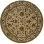 Ariana 311i Ivory/Green Area Rug