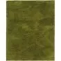 Cosmo 81101 Green Area Rug