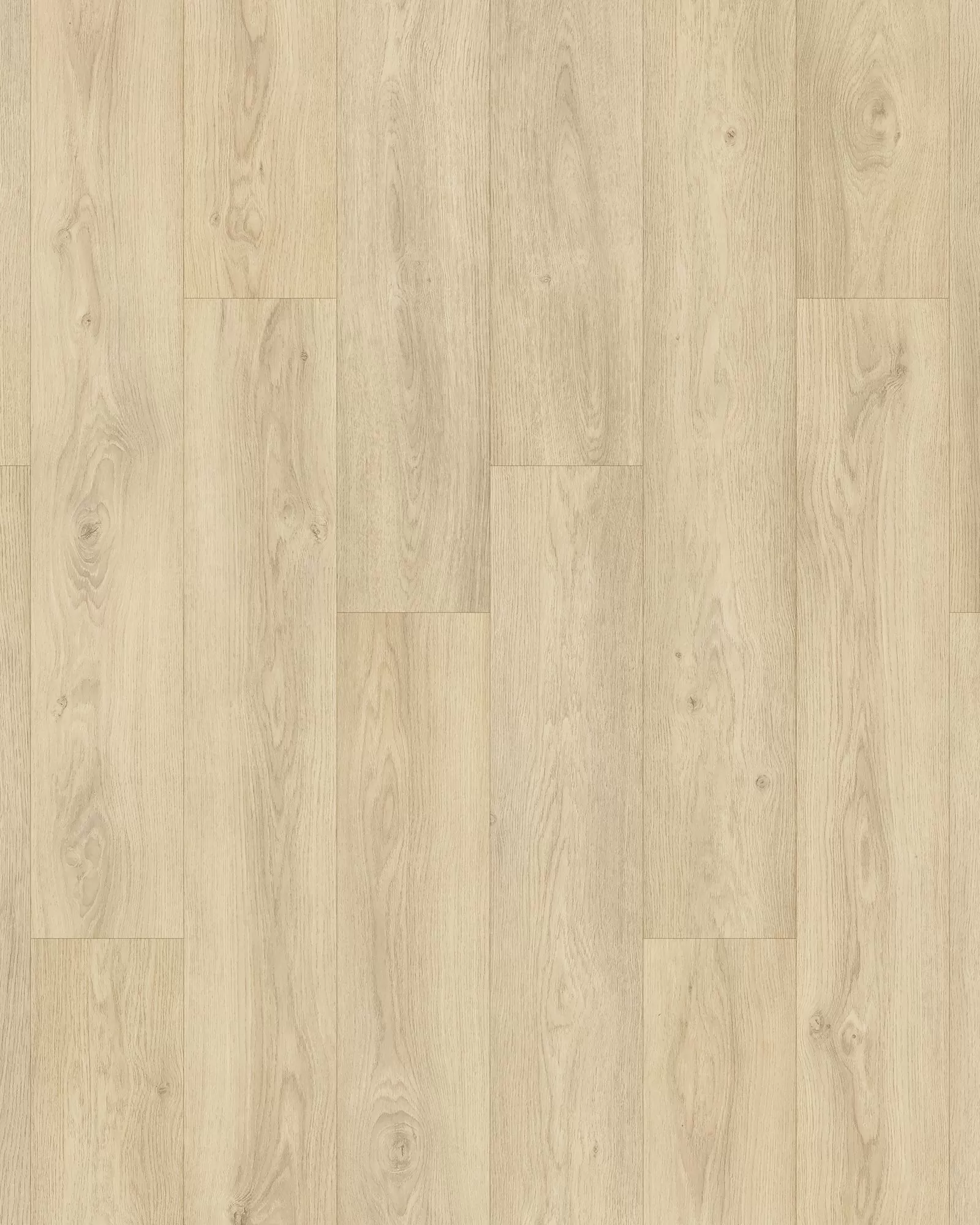 Danish Overlook Ivory Coast Oak Laminate | Carpet Exchange