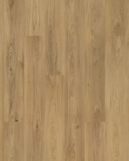 Barker Hollow SolidTech Plus Chance Luxury Vinyl