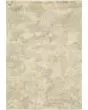 Astor 2268j Beige/Grey Area Rug