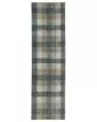 Alton 5093x Blue/Beige Area Rug