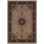 Ariana 95i Ivory/Black Area Rug