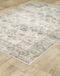 Charleston cha10 Ivory/Multi Area Rug