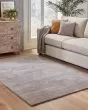 Aniston 27108 Grey Area Rug