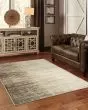 Carson 735a Beige/Grey Area Rug