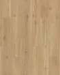Pergo Elements Freywood Springs Natural Hickory 8" Laminate