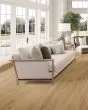 Barker Hollow SolidTech Plus Rowan Luxury Vinyl