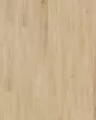 Barker Hollow SolidTech Plus Hazel Luxury Vinyl