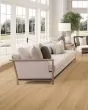 Barker Hollow SolidTech Plus Daisy Luxury Vinyl