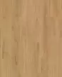 Barker Hollow SolidTech Plus Daisy Luxury Vinyl
