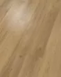 Barker Hollow SolidTech Plus Chance Luxury Vinyl
